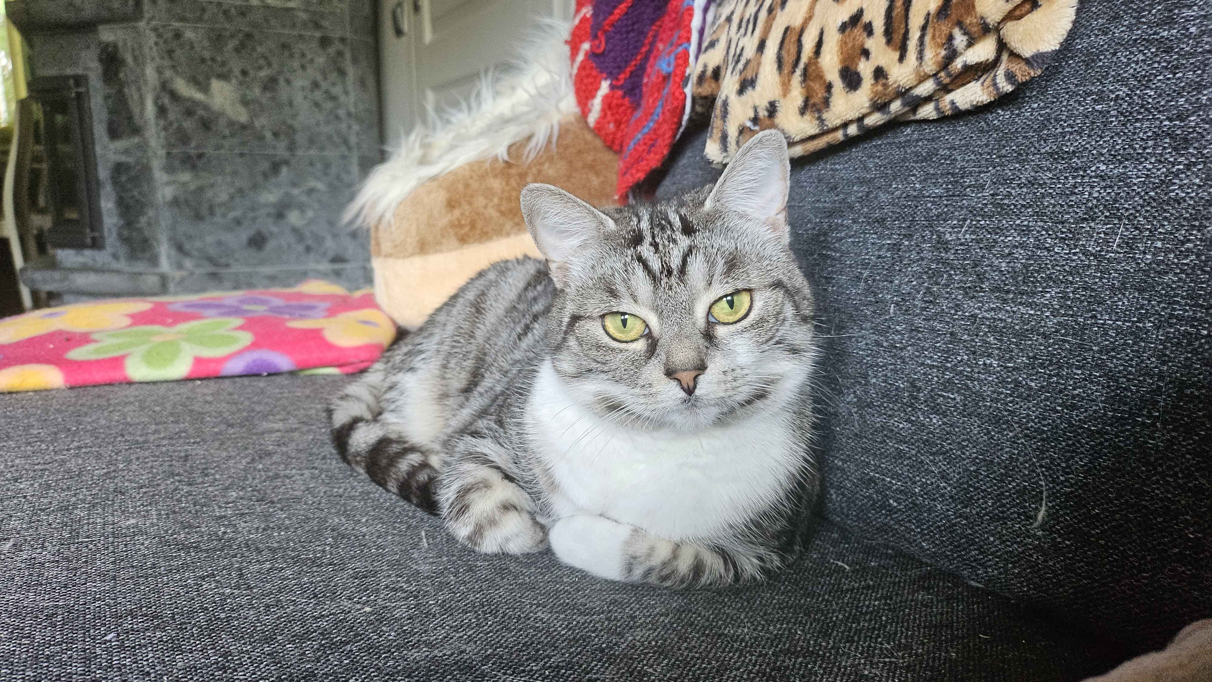 Ronja