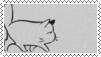 dozing cat